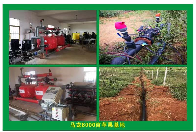 马龙6000亩苹果基地